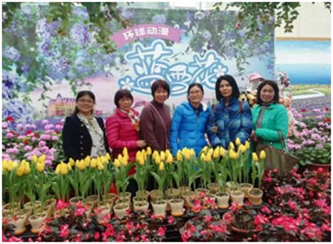 K8凯发集团(中国)公司官网