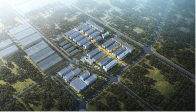 K8凯发集团(中国)公司官网